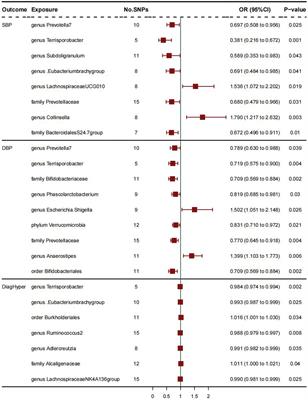 Causal effects of gut microbiome on hypertension: a Mendelian randomization study